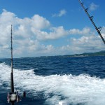 Sport Fishing in Puerto Vallarta