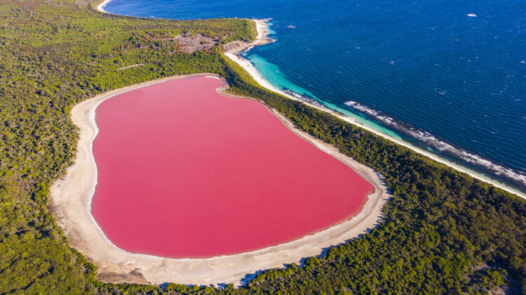 Discover the Pink Lakes of Australia